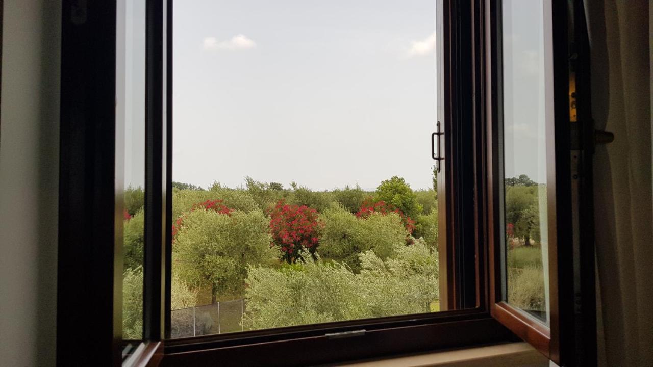 Il Casale Degli Ulivi - Agriturismo - Tenimenti Leone Lanuvio Zewnętrze zdjęcie