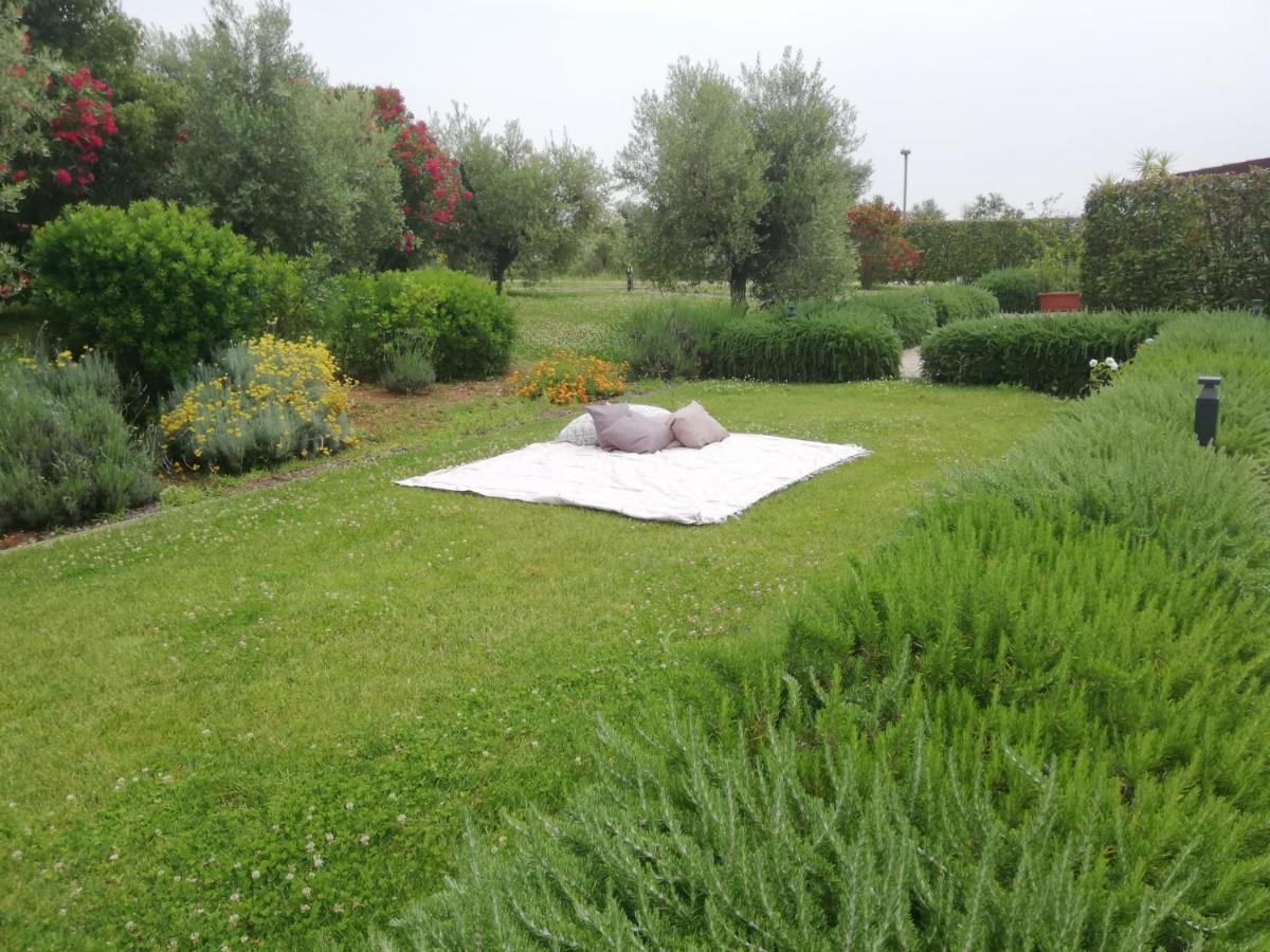 Il Casale Degli Ulivi - Agriturismo - Tenimenti Leone Lanuvio Zewnętrze zdjęcie