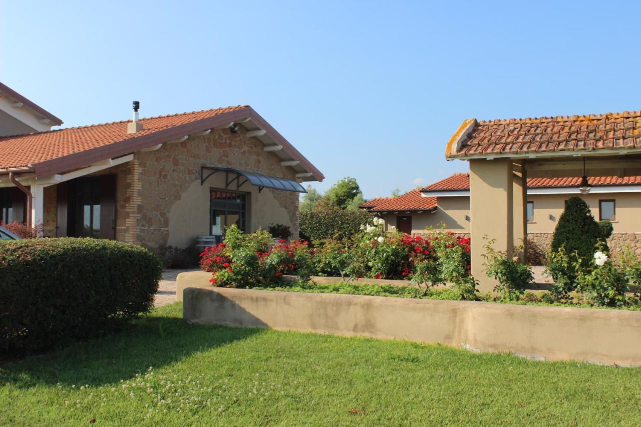 Il Casale Degli Ulivi - Agriturismo - Tenimenti Leone Lanuvio Zewnętrze zdjęcie