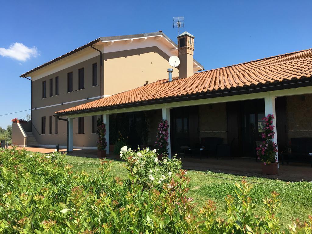 Il Casale Degli Ulivi - Agriturismo - Tenimenti Leone Lanuvio Zewnętrze zdjęcie