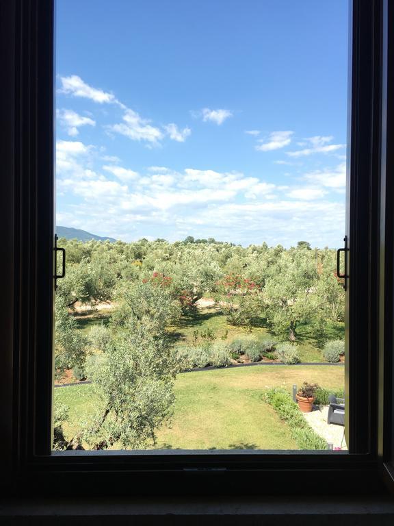 Il Casale Degli Ulivi - Agriturismo - Tenimenti Leone Lanuvio Zewnętrze zdjęcie