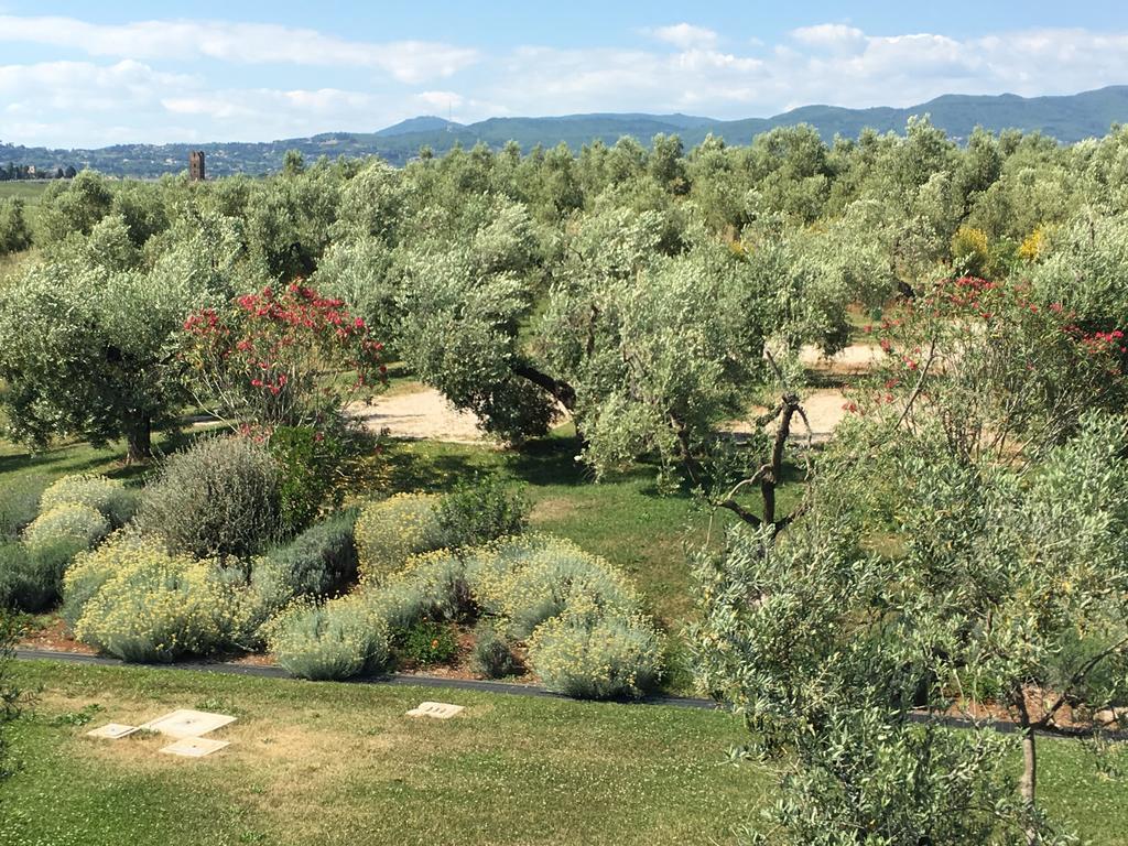 Il Casale Degli Ulivi - Agriturismo - Tenimenti Leone Lanuvio Zewnętrze zdjęcie