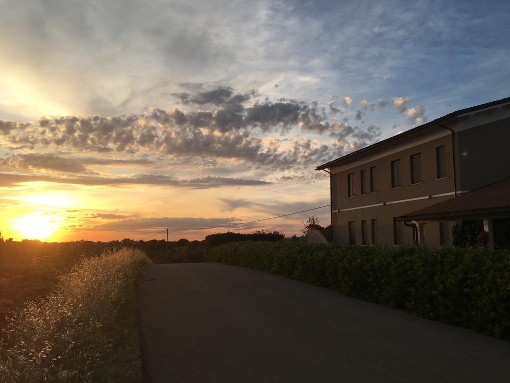 Il Casale Degli Ulivi - Agriturismo - Tenimenti Leone Lanuvio Zewnętrze zdjęcie