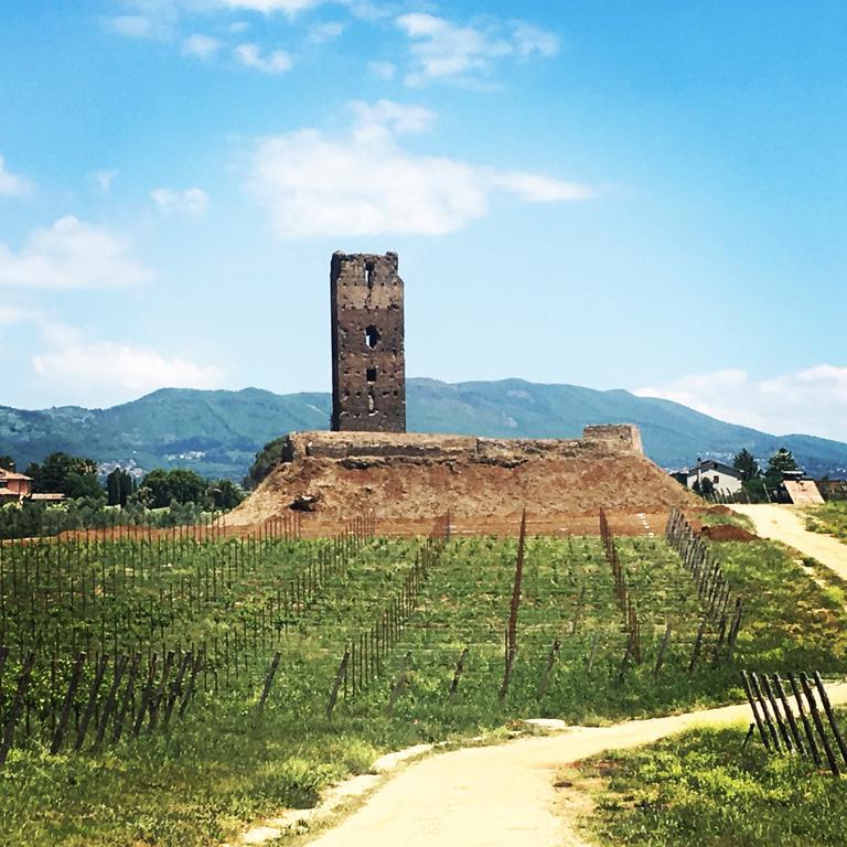 Il Casale Degli Ulivi - Agriturismo - Tenimenti Leone Lanuvio Zewnętrze zdjęcie