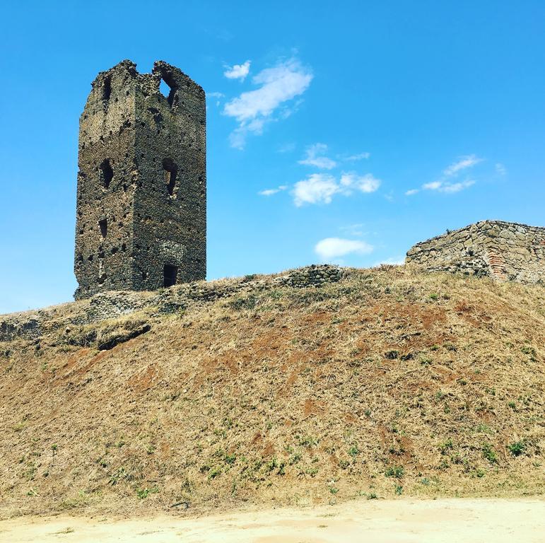 Il Casale Degli Ulivi - Agriturismo - Tenimenti Leone Lanuvio Zewnętrze zdjęcie