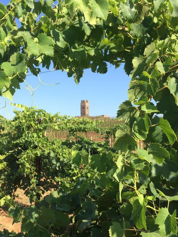 Il Casale Degli Ulivi - Agriturismo - Tenimenti Leone Lanuvio Zewnętrze zdjęcie