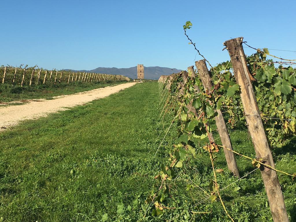 Il Casale Degli Ulivi - Agriturismo - Tenimenti Leone Lanuvio Zewnętrze zdjęcie