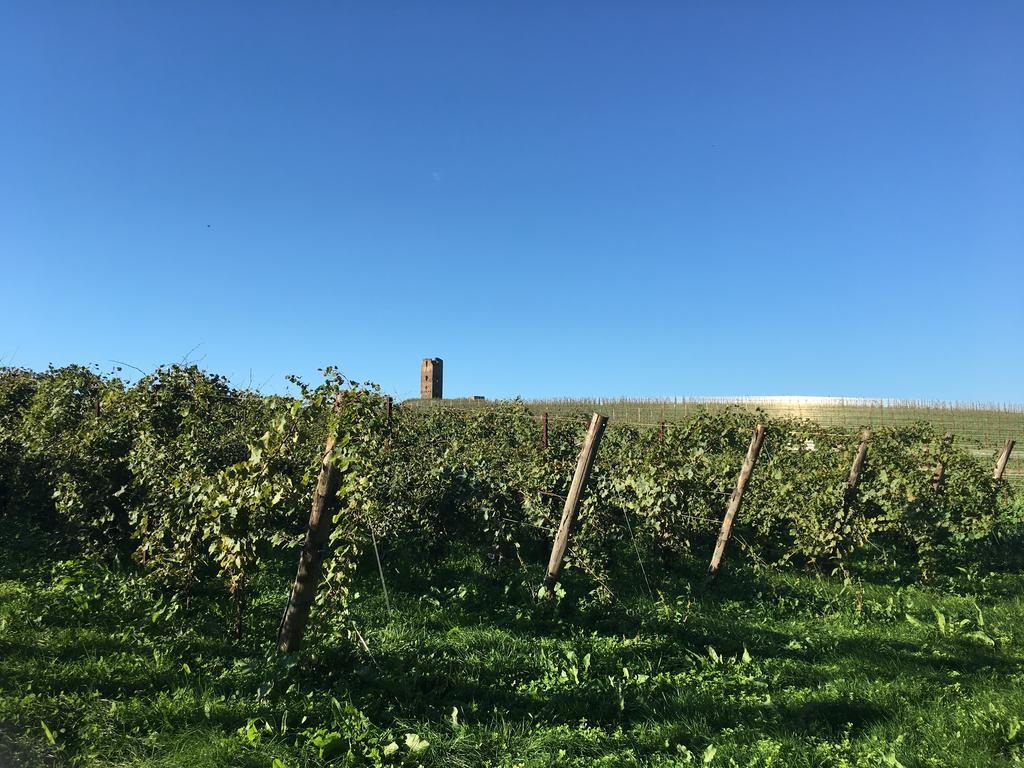 Il Casale Degli Ulivi - Agriturismo - Tenimenti Leone Lanuvio Zewnętrze zdjęcie