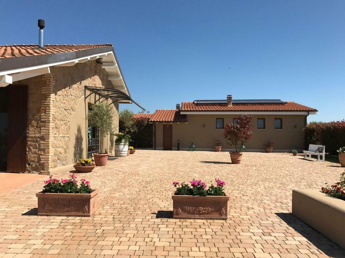 Il Casale Degli Ulivi - Agriturismo - Tenimenti Leone Lanuvio Zewnętrze zdjęcie