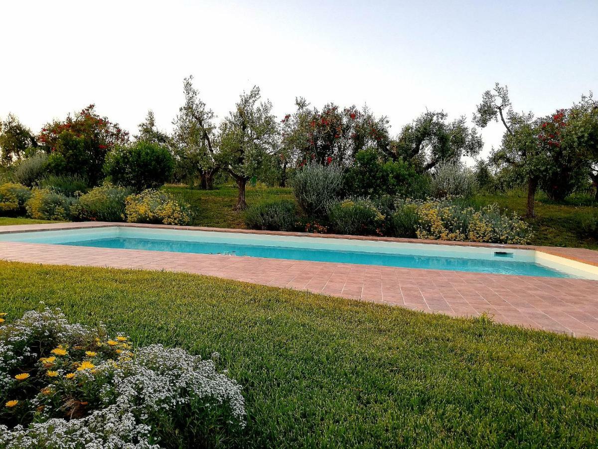 Il Casale Degli Ulivi - Agriturismo - Tenimenti Leone Lanuvio Zewnętrze zdjęcie