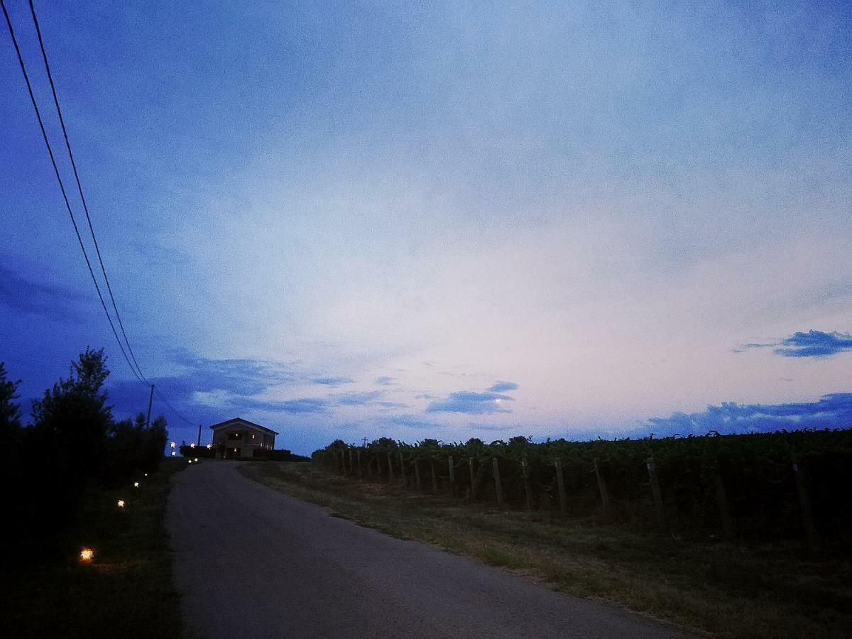 Il Casale Degli Ulivi - Agriturismo - Tenimenti Leone Lanuvio Zewnętrze zdjęcie